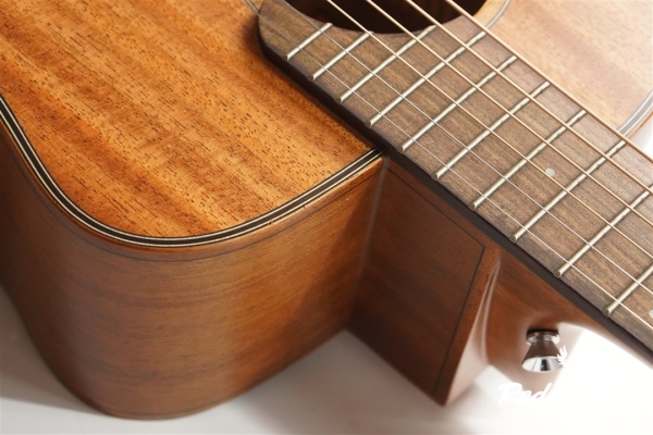 M20 Feather Bird [aNN-M20]